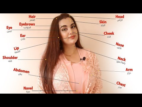 اجزاء الجسم بالانجليزي - تعلم 80+ مفردات انجليزية مهمة