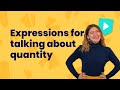 Understanding Quantifiers in English