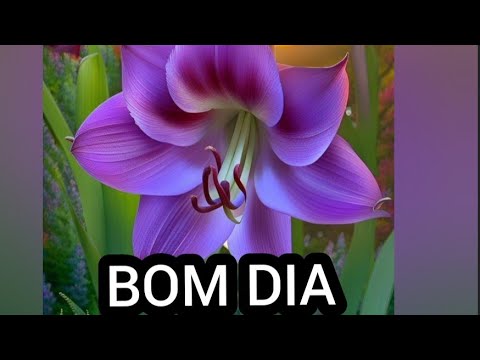 abençoada mensagem de bom dia feliz sexta feira 🙏