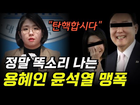 용혜인이 말하는 윤석열 탄핵할 수 밖에 없는 이유