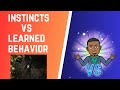 Instincts and Learned Behaviors in Animals