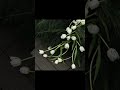 So sánh và Phân tích Số