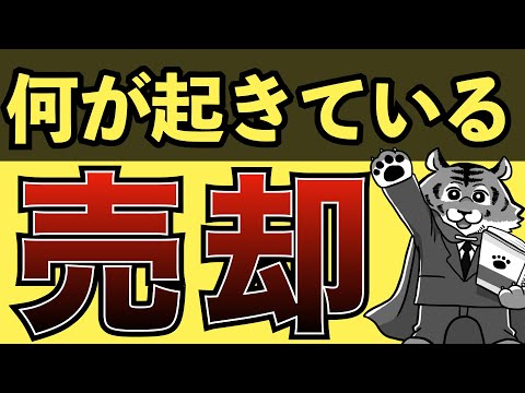 【異常事態】インサイダーが株を売りまくってます【S&P500】