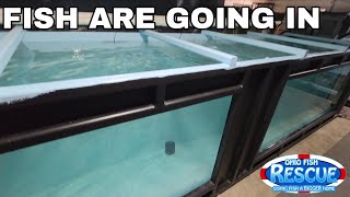 Fish are going into the new tank
