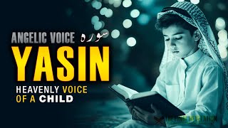 Surah Yaseen for Sleep (سورة يس) Soothing Quran Recitation | LoFi Quran