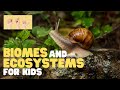 Ecosystems and Biomes Concepts