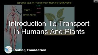 Introduction to Transport in Humans And Plants