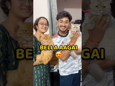 Bella Ghar Wapas Agai ๐ #shorts #vlog #minivlog #familyvlog #cat