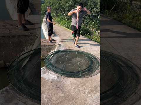 This man is Catching a lot of Fish with a Simple Trick!😥❤️#shorts