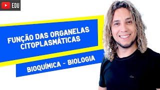 ORGANELAS CITOPLASMÁTICAS - BIOQUÍMICA - AULA PARA ENEM, PROVAS E REVISÃO