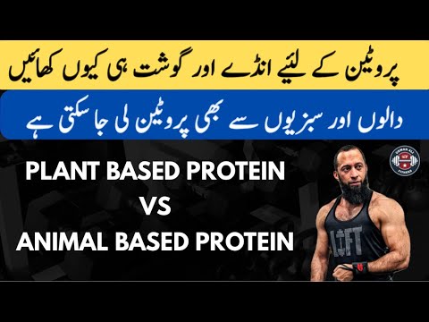 Why All Proteins Are Not Equal | Plant Based VS Animal Based Protein | Amino Acids | Urdu/Hindi