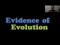 Homology and Evolutionary Evidence