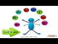 Phonics: Short and Long Sounds