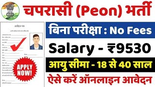 Peon Recruitment 2025 | सरकारी स्कूल में चपरासी भर्ती |Govt School Chaprasi Bharti 2025 Apply Online
