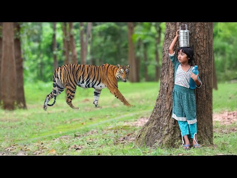 Royal bengal tiger attack in children |tiger attack man in forest | tiger attack