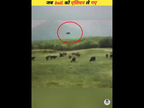 When the aliens took the bull #viral
