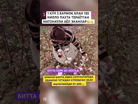 1 КЎЛИ БЛАН ИШЛЕЙМАН ДЕБ КЕЧА ОДАМЛАР КЎЛИШИПТИ😢
