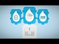 Understanding Singapore's Water Management