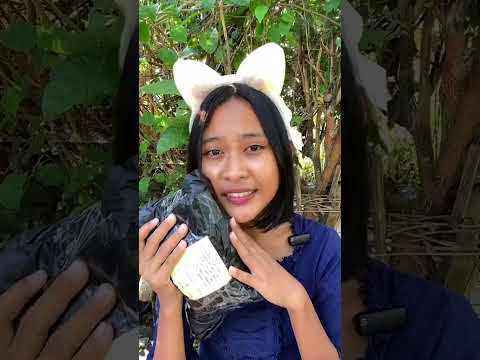 LATIAO SNAK CINA VIRAL MUKBANG LATIAO #shortvideo