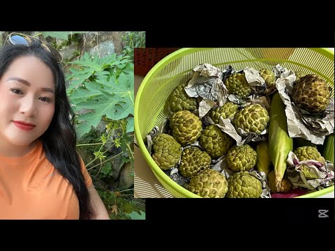 🟢 VIỆT NAM CÓ THỰC PHẨM NGON NHẤT, KHÔNG ĐÂU BẰNG!?