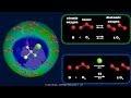 Chlorine and Ozone Layer Dynamics