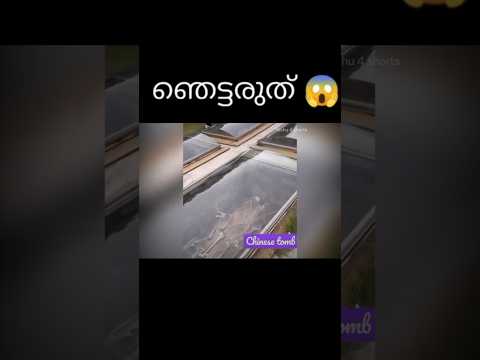 ഇത് ഒന്നു കാണാതെ പോകുരുത് gys 😱❗️( part 18) unknown facts | facts Malayalam  #shorts #viral