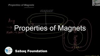 The Discovery of Magnetism