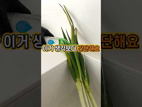 대파에 소주를 부으면 이렇게 돼요~ ^^ #봄집사