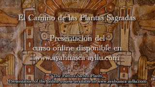 Presentación: El camino de las Plantas Sagradas