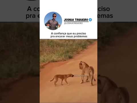 #fypage #explore #agro #campo #jatz #joshuatrigueiro #fyp