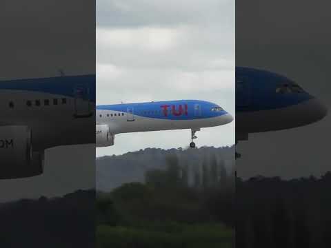 Plane Lands Too Fast