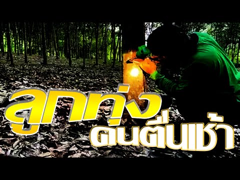 ลูกทุ่งคนตื่นเช้า😉