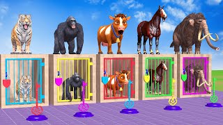 Long Slide Game With Cow Elephant Gorilla Hippopotamus Tiger - 3d Animal Game - Funny 3d Animals
