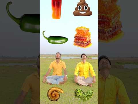 Eating gems, biscuit, icecream, honey vs insects, chili, potty & eggs to dancing jocker and frog 😂😮