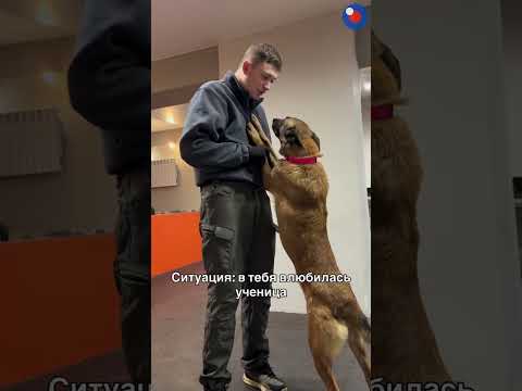 Сколько любви и искренности в этих глазах 🐾🥹❤️