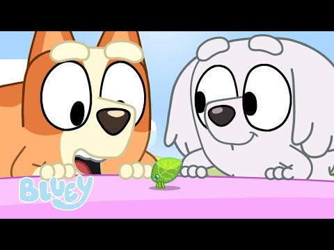Le soleil s'amuse avec Bluey ☀️ | Bluey Français Chaîne Officielle