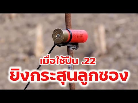 เมื่อใช้ ปืน .22 ยิงกระสุนปืนลูกซอง