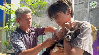 ฉีดวัคซีนป้องกันโรคพิษสุนัขและแมวในชุมชน (โครงการสัตว์ปลอดโรคคนปลอดภัยจากพิษสุนัขบ้า)