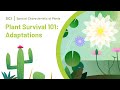 Plant Adaptations and Survival Strategies