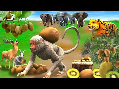 बंदर कीवी फल चोर | बंदर की कहानी Banda Kiwi Phal Chor ki Kahani Monkey Steal Kiwi Fruit Moral Story