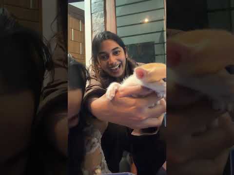 new members 😍✨✨