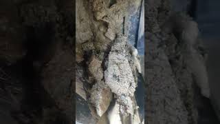 Así quedó mi motor luego de la crecida del río Camú Puerto Plata
