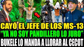FATAL 4TAQUE😱 DIOS MÍO LO QUE SUCEDIÓ😱