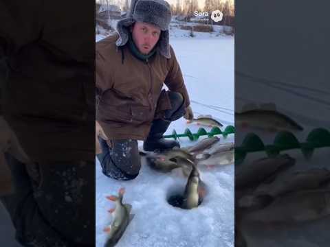 Рыба прет сама из лунки. Рыбак в шоке. #shorts #рыбалка #прикол #fishing