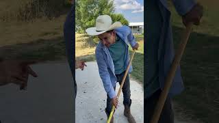 Le vendió el caballo frizon ah escondidas de su marido mira lo que paso