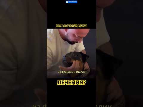 Грубый или приемлемый метод лечения животных?