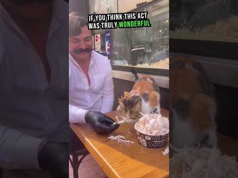 kind Man Knows How To Deal With animals❤️#shorts #cats #kindness