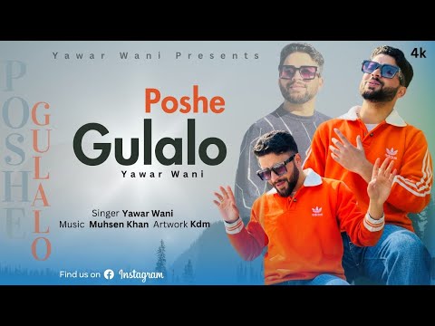 Poshe Gulalo || Kashmiri Superhit Song 2024 || Yawar Wani || Muhsen Khan