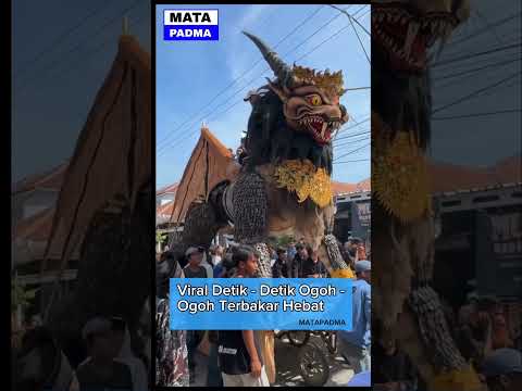 Viral Detik-Detik Ogoh-Ogoh Terbakar Hebat