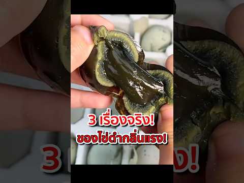 3 เรื่องจริง ของไข่ดำกลิ่นแรง! #ไข่เยี่ยวม้า #ของกินแปลก #centuryegg #รู้ก่อนกิน